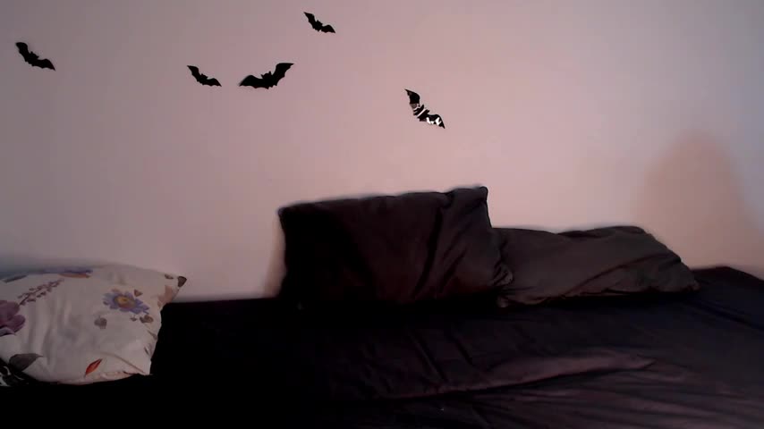 litle_owl Adult Chat November 8, 2025