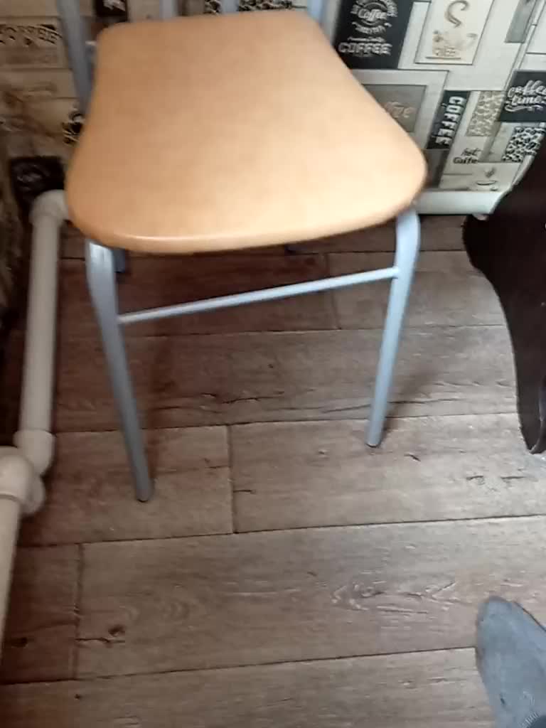 Yna-and-Yn Adult Chat November 8, 2025