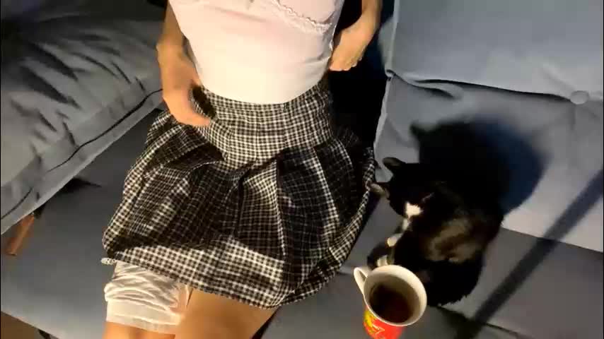 heytomato Adult Chat November 8, 2025