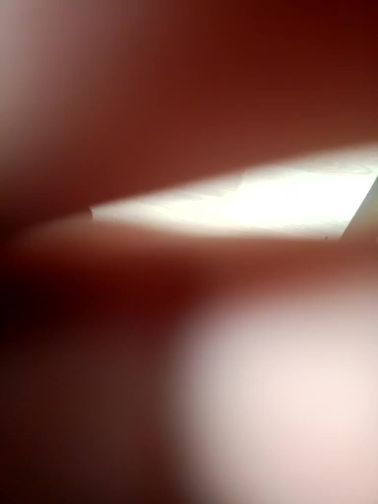 Artem29aAlisa29 Adult Chat November 8, 2025