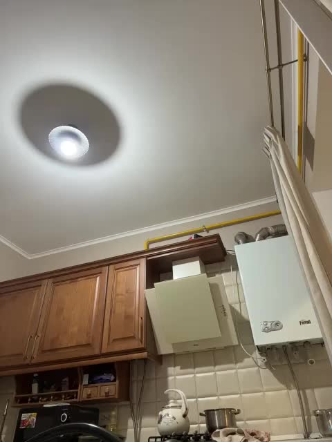 alizii Adult Chat November 8, 2025