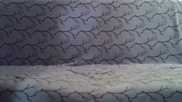 VikiPopens Adult Chat November 8, 2025