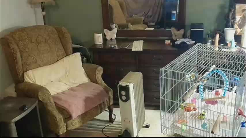 hidden_gold_milf Adult Chat November 8, 2025