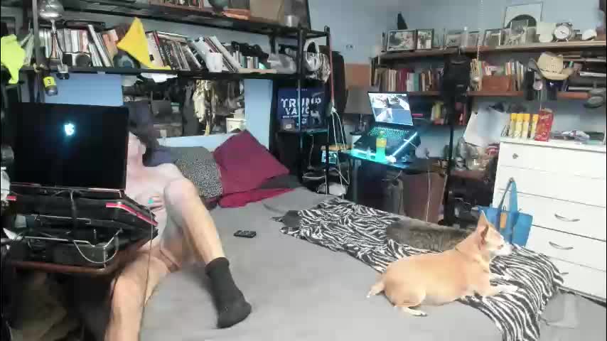 pink_black Adult Chat November 8, 2025