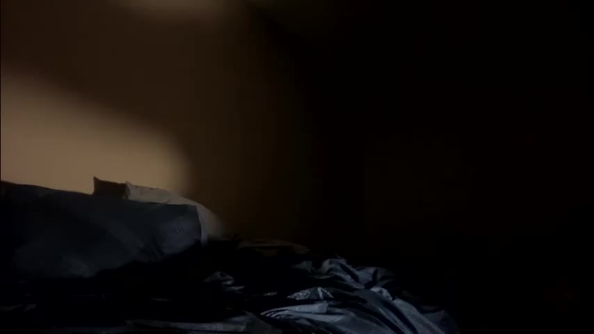 24fun21 Adult Chat November 8, 2025