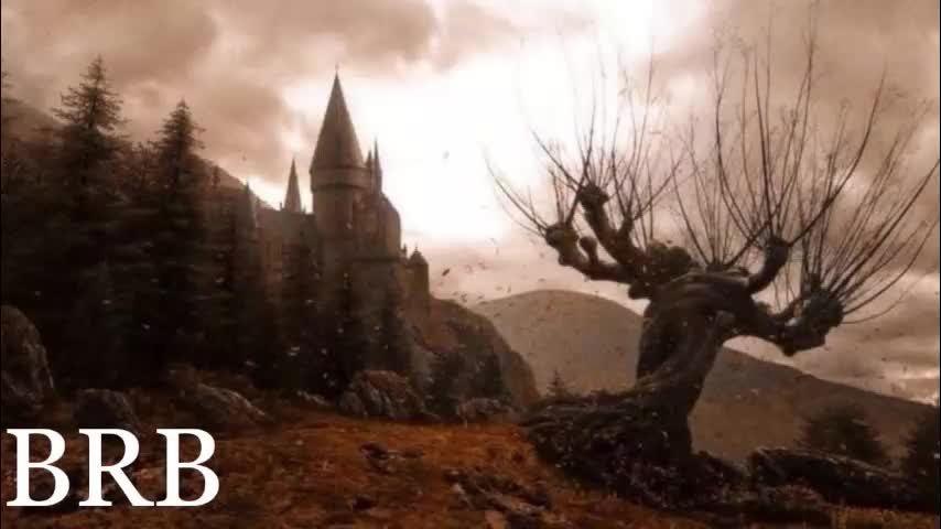 red_queeen Adult Chat November 8, 2025