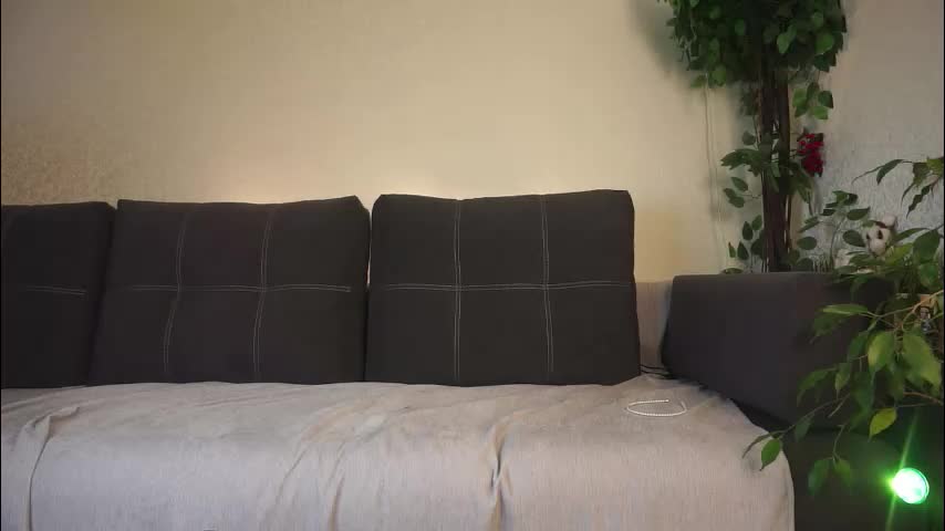 forestproject Adult Chat November 8, 2025