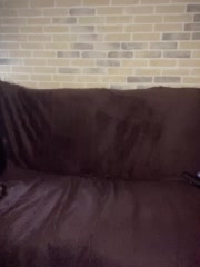 Panther_0888 Adult Chat November 8, 2025