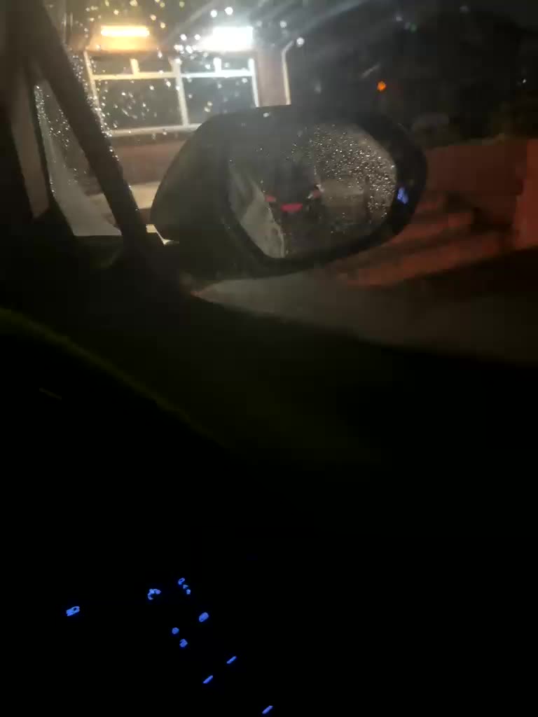 Friends-51 Adult Chat November 8, 2025