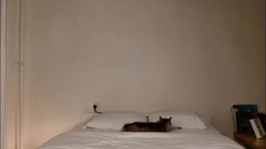 milky__way_ Adult Chat November 9, 2025