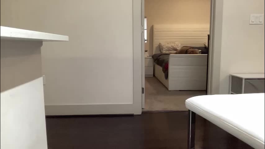 stassiethatsororitygirl Adult Chat November 9, 2025