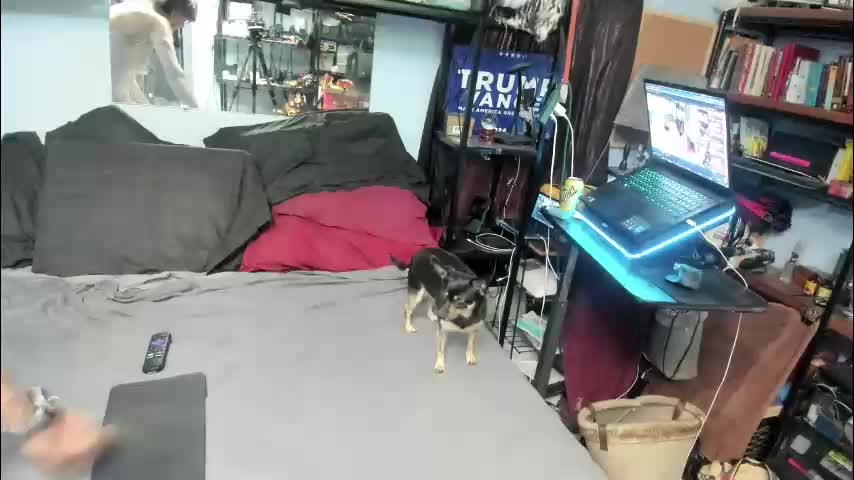 pink_black Adult Chat November 9, 2025