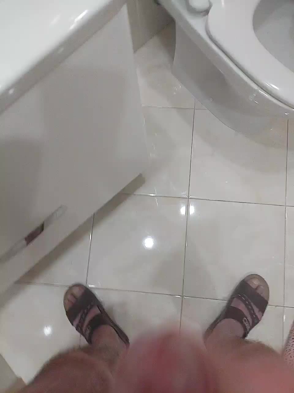 Paradise_1 Adult Chat November 9, 2025