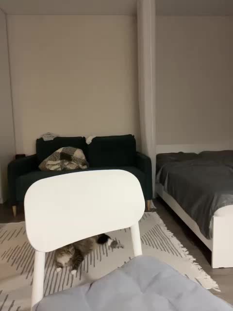 v_-_-_v Adult Chat November 9, 2025