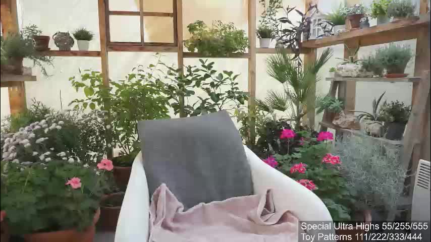 yournaughtypixie Adult Chat November 9, 2025