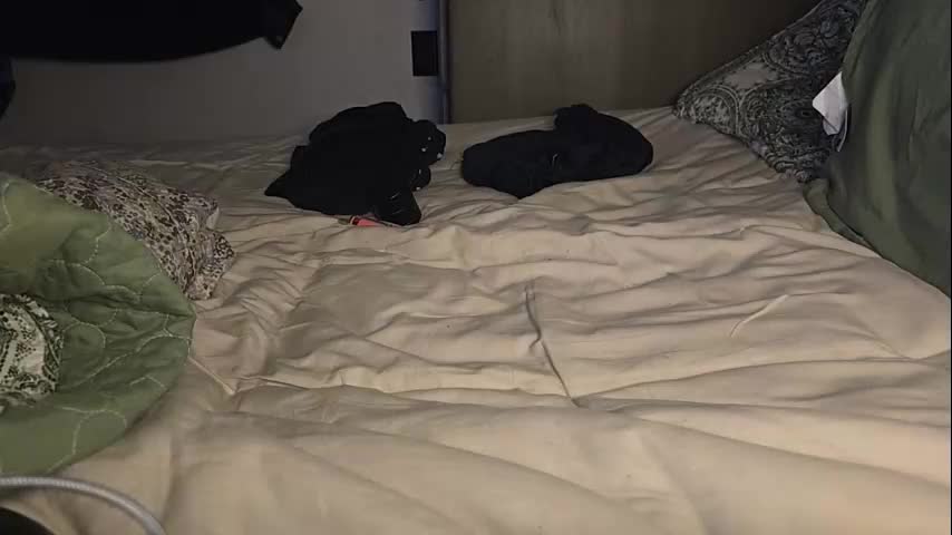 poppunk4life Adult Chat November 9, 2025