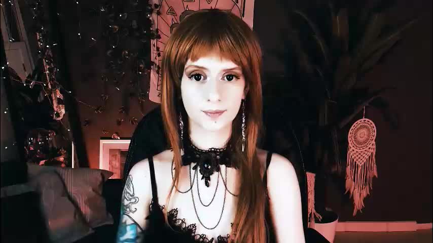 noah_elmer Adult Chat November 10, 2025