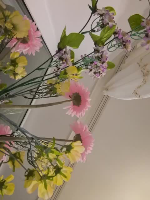 Napoliana Adult Chat November 10, 2025