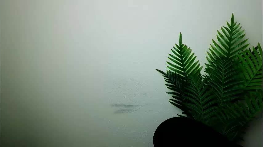 veryveryshygirl Adult Chat November 10, 2025