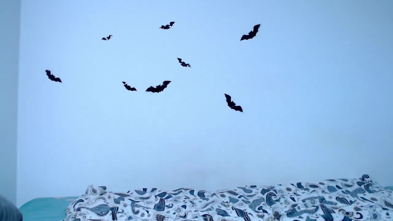 littleowlx Adult Chat November 10, 2025