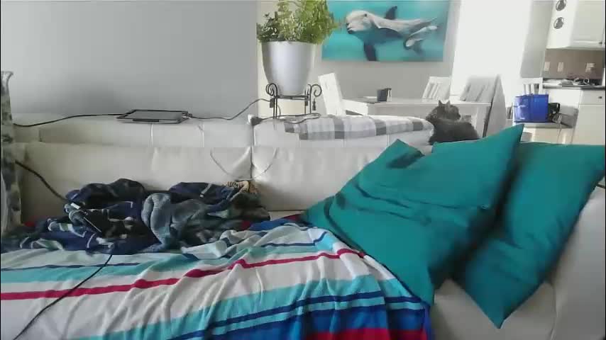 smallpenisbigtongue Adult Chat November 10, 2025