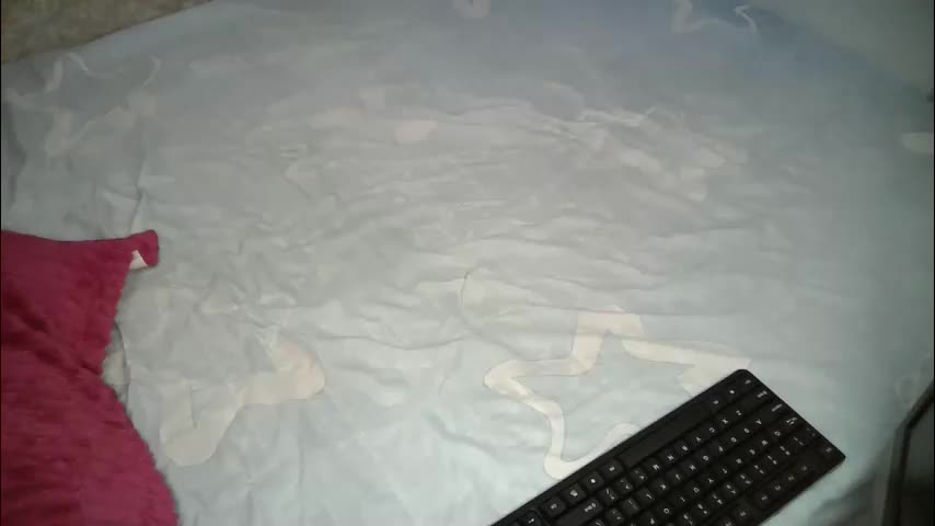 sly_booty65 Adult Chat November 10, 2025