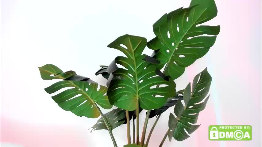 ashllovee_ Adult Chat November 10, 2025