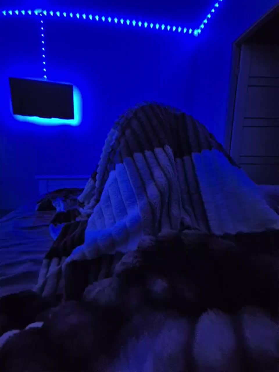 VCHELSIV Adult Chat November 10, 2025