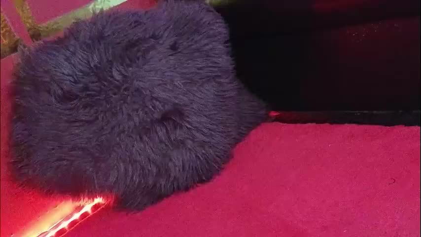 alissa4_ Adult Chat November 10, 2025