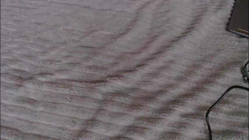 single_fox_4u Adult Chat November 10, 2025