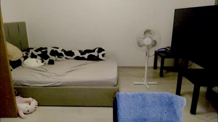 kitten_jenny01 Adult Chat November 10, 2025