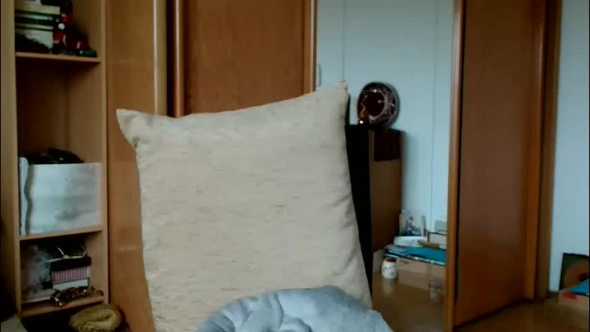 bebacksooon Adult Chat November 10, 2025