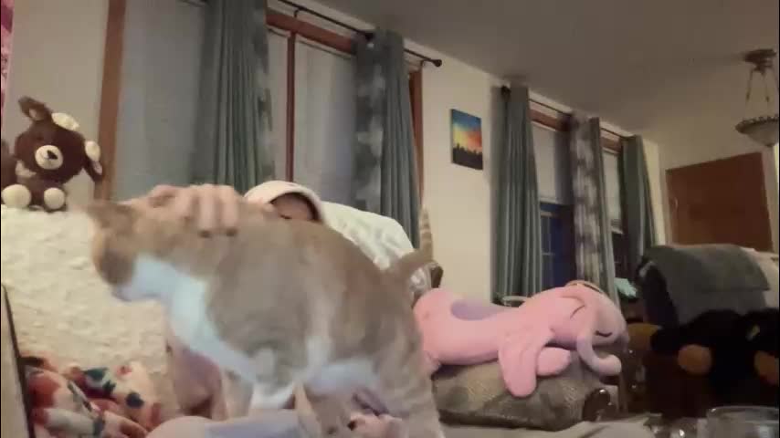 paisleysnowxo Adult Chat November 11, 2025