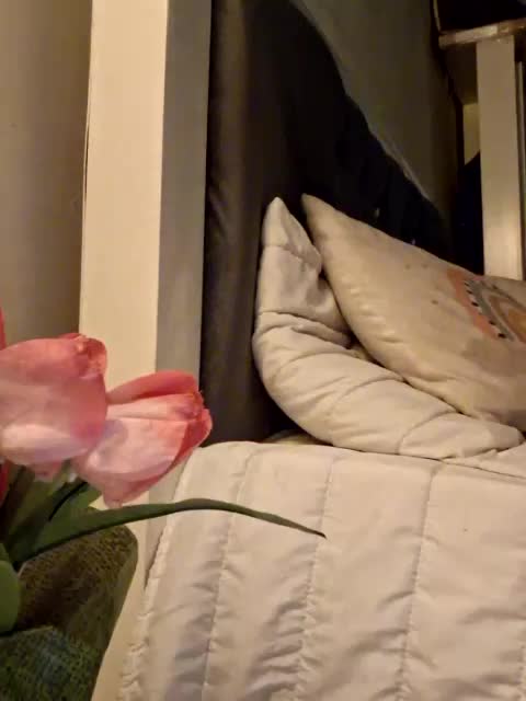 elekttra_ Adult Chat November 11, 2025