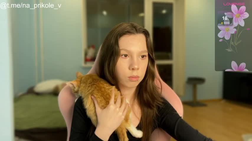 na_prikole_ Adult Chat November 11, 2025