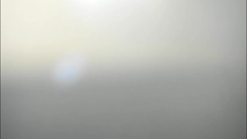 synop_sis Adult Chat November 11, 2025