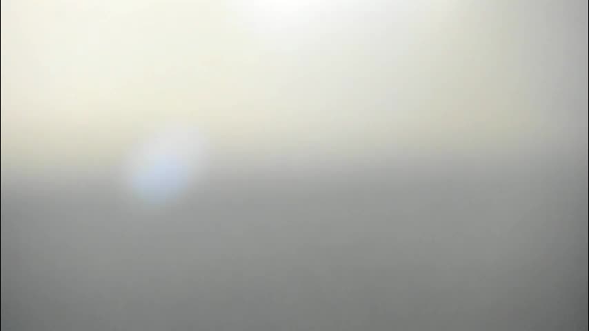 synop_sis Adult Chat November 11, 2025