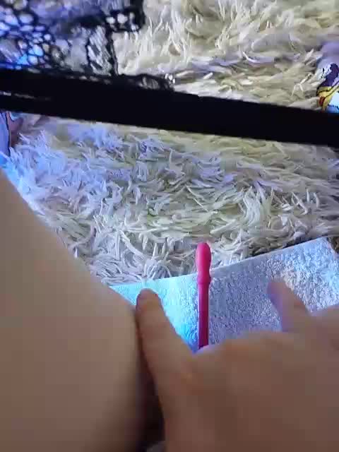 Piff_Pawlady Adult Chat November 11, 2025