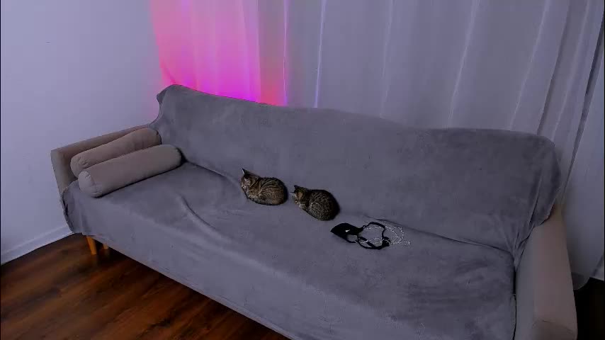 ladytrep Adult Chat November 11, 2025