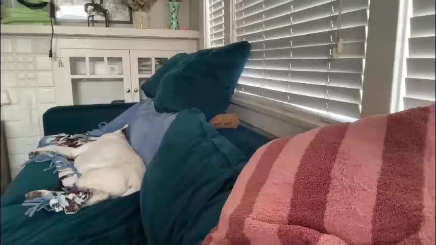 dreamyriri Adult Chat November 11, 2025