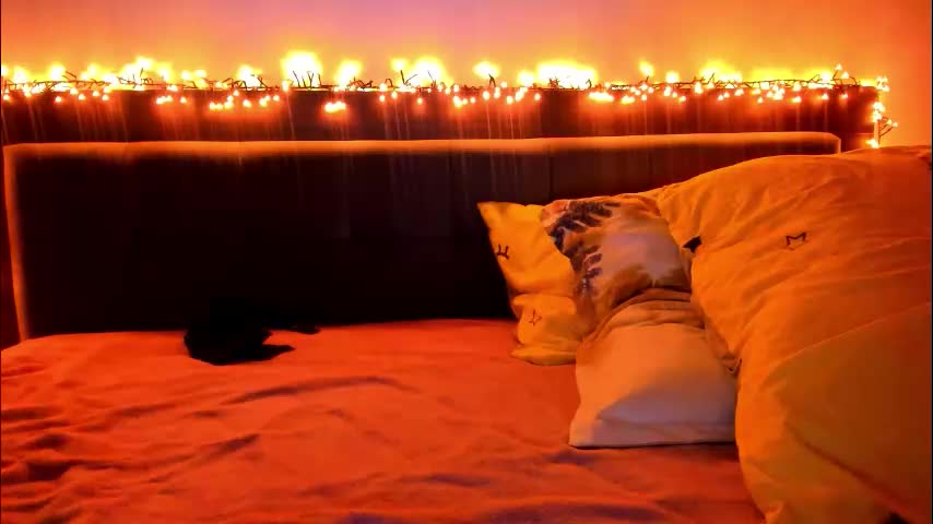 _just_a_simple_girl Adult Chat November 11, 2025