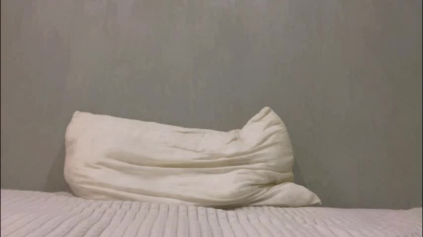 8_altair_8 Adult Chat November 11, 2025