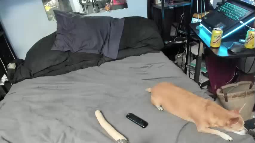 pink_black Adult Chat November 12, 2025