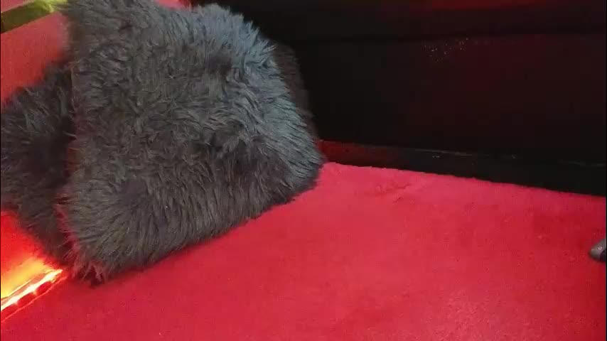 alissa4_ Adult Chat November 12, 2025