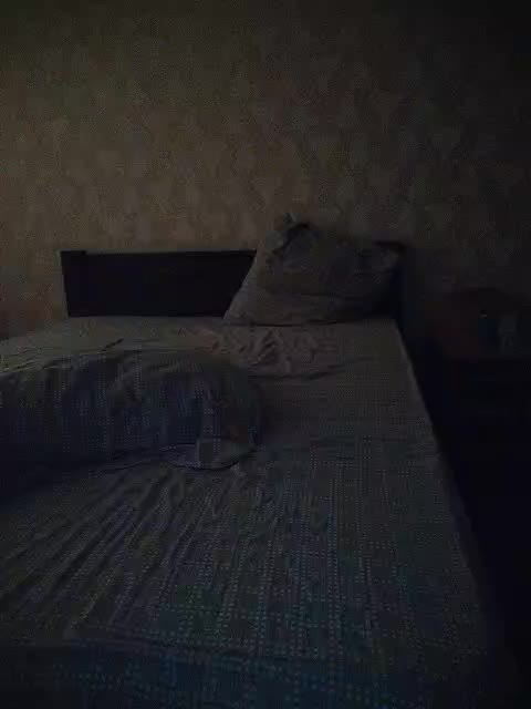 Max_and_Maksin Adult Chat November 12, 2025