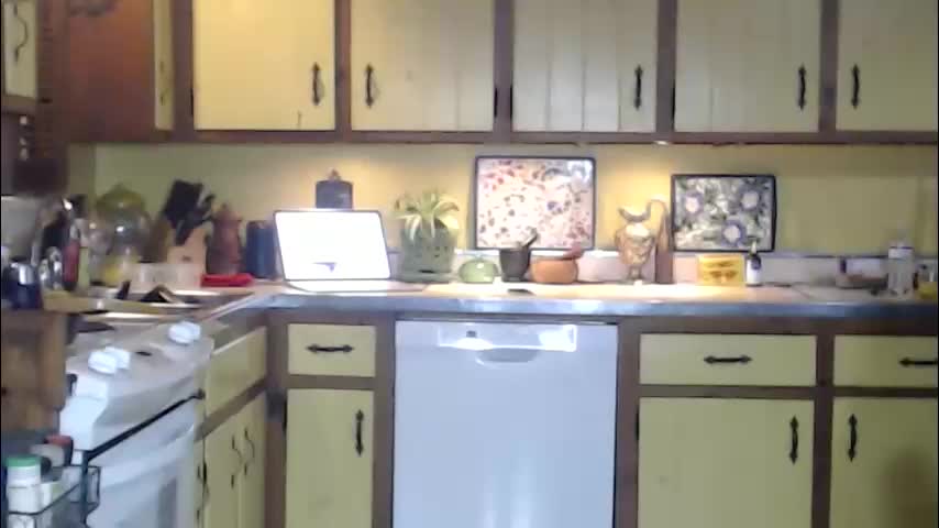 catalystic Adult Chat November 12, 2025