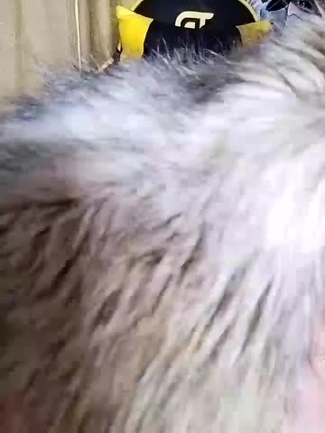 lindaledi2 Adult Chat November 12, 2025