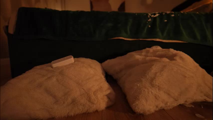 tollysage Adult Chat November 12, 2025