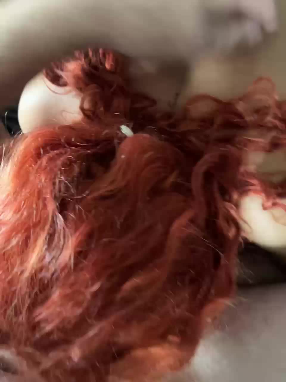 Parochkaporn Adult Chat November 12, 2025