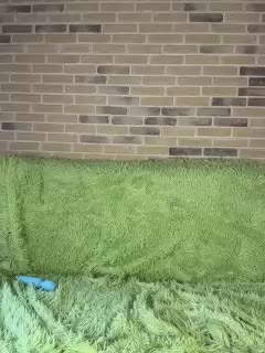 Panther_0888 Adult Chat November 12, 2025